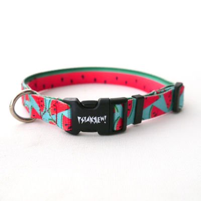 Dog Collar Psiakrew Watermelon, 2 cm 0.78"  wide, for smaller dogs