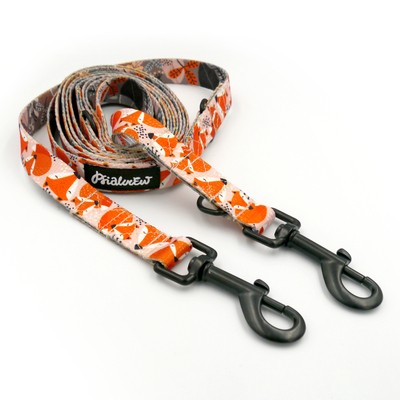 Hundeleine, lang, abnehmbar, verstellbar Foxy Lady Psiakrew, Breite 2 cm, Karabiner schwarz 7 cm