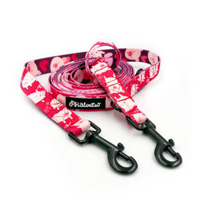 Hundeleine, lang, abnehmbar, verstellbar Piggy in Love Psiakrew, Breite 2 cm, Karabiner schwarz 7 cm