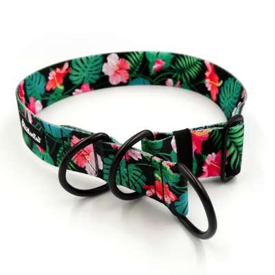 Tropical Monstera- Half-Clamp-Halsband, 4 cm breit, für mittlere und größere Hunde, schwarze Beschläge