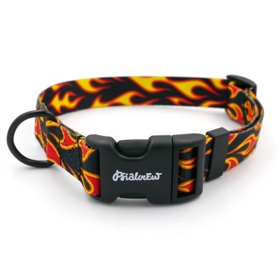 Verstellbares Halsband Dog On Fire Psiakrew, 2,5 cm breit, schwarze Beschläge