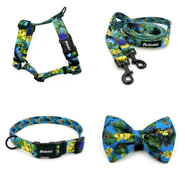 ACCESSORY KIT. Small dog. Peacock's Eye Psiakrew Series; Collar, Harness, Leash, Bow tie