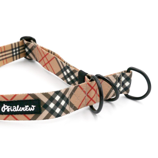 Dogberry Half-Clamp-Halsband, 3 cm breit, für mittlere und größere Hunde, schwarze Beschläge