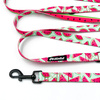 Dog Leash Watermelon width 2 cm wide, black snap hook 7 cm