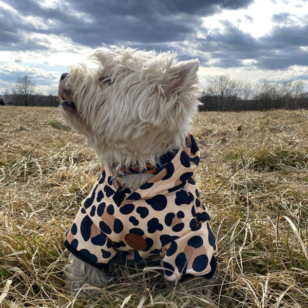Dog Hoodie Leopard Psiakrew