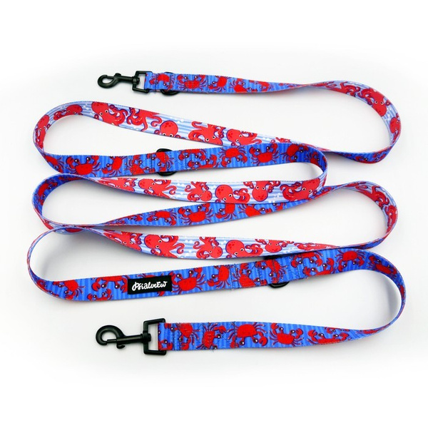 Dog Leash Sea Look width 2.5 cm, 1" wide, snap hook black 6cm
