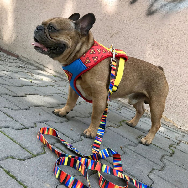 Dog Harness Super Dog, colorful print, Always Feeling Cool, Super Soft Psiakrew