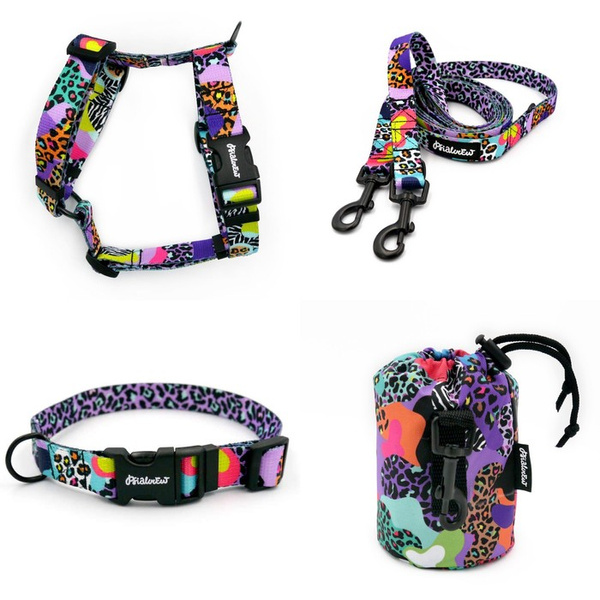 ZUBEHÖRSATZ für einen kleinen Hund Crazy Leopard Psiakrew -Serie; Halsband, Geschirr, Leine, Sachet für Hundeleckerli