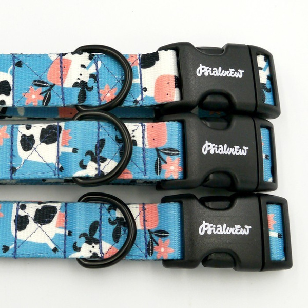 Dog Collar Psiakrew Spotted Cow 2.5 cm wide, black extras