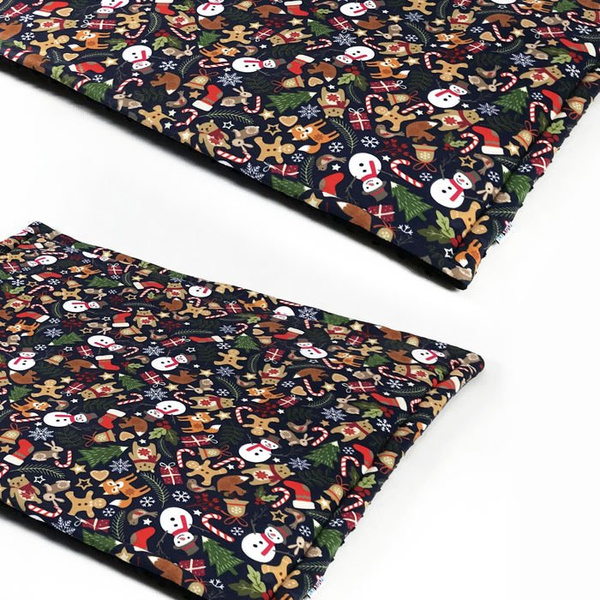 Premium Mat Plaid Blanket for the dog, Winter is coming Psiakrew Design