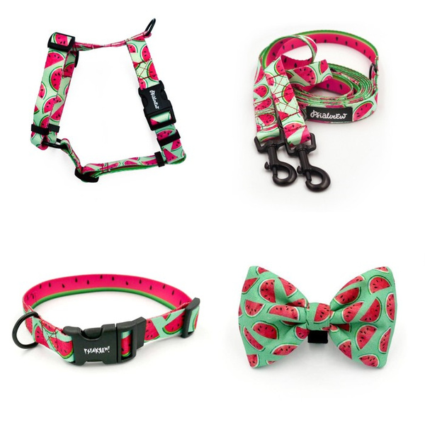 ACCESSORY KIT. Small dog. Watermelon Psiakrew Series; Collar, Harness, Leash, Bow tie