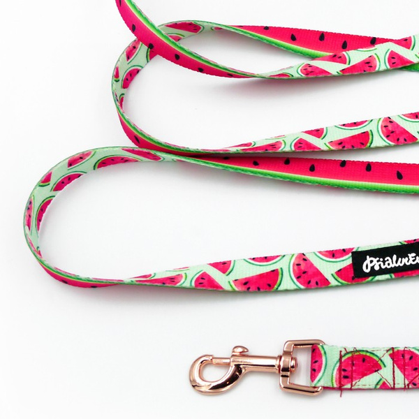 Long Dog Leash Watermelon Psiakrew width 2 cm (0.78") wide, rose gold snap hook 6 cm