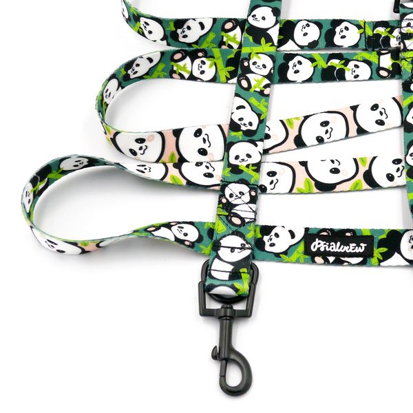 Smycz Dla Psa Przepinana Regulowana Bamboo Panda Psiakrew, szerokość 2,5 cm, karabińczyk 6cm czarny