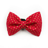 Dog Bow Tie Goldi, gold polka dots