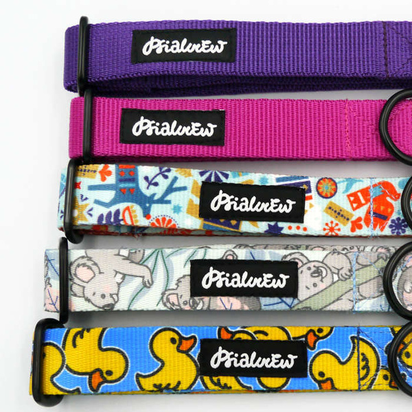 Half-choke collar- Koala Bear, 2.5 cm wide, medium and big dogs, black extras