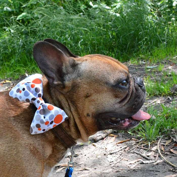 Bow tie for dogs, white with colorful dots, Collar Attachment, gift for pet Psiakrew