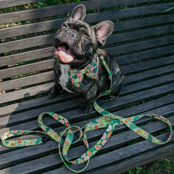 ACCESSORY KIT. Medium dog. Psiakrew Guacamole Time Series; Collar, Harness, Leash, Bow tie