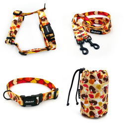 ACCESSORY KIT. Small dog. Hedgehog Dreamer Psiakrew  Series; Collar, Harness, Leash, Sachet for dog treats