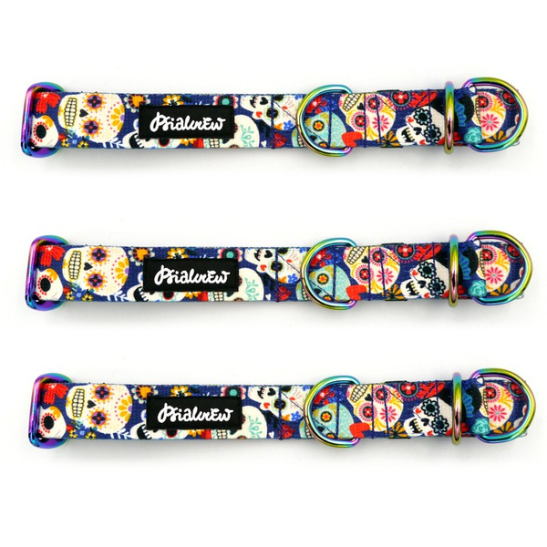 Half-choke collar Día de los Muertos, 2.5 cm wide, medium and big dogs, holo extras