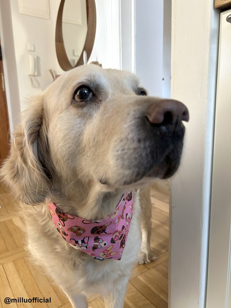 Look in Love Psiakrew Bandana, gebundenes Taschentuch, Baumwollschal