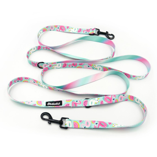 Hundeleine, lang, abnehmbar, verstellbar Azure Pool Psiakrew, Breite 2 cm, Karabiner schwarz 7 cm