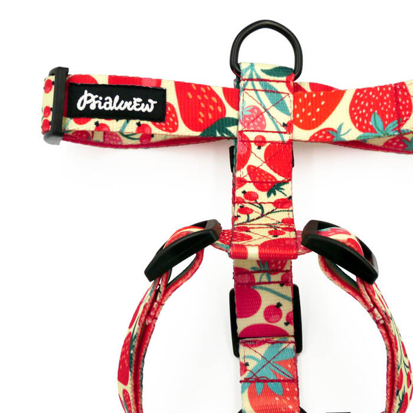 Guard Harness for Dog Fruit Jelly Psiakrew, black extras