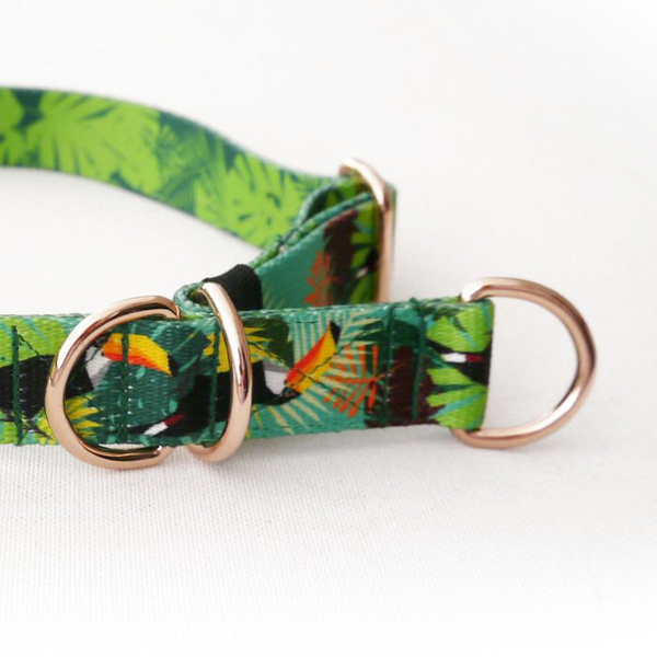 Obroża półzaciskowa Tukany szeroka na 2,5 cm, dla średnich i większych psów, różowe złoto