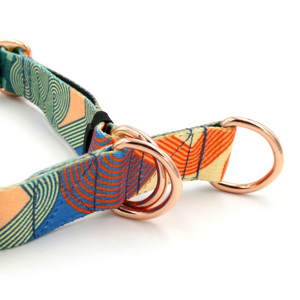 Half-choke collar Geo Snake, 2.5 cm wide, medium and big dogs, golden extras