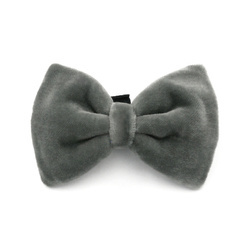 Samt Grau Fliege für einen Hund ein elegantes Schmuckstück für besondere Anlässe, am Halsband befestigt