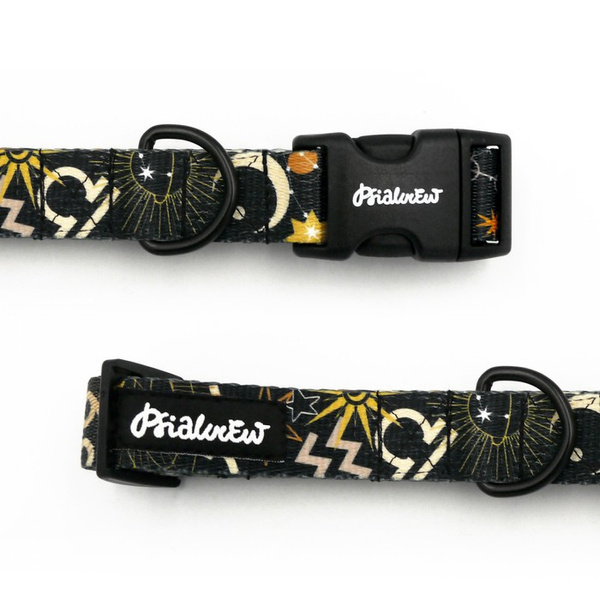 Dog Collar Psiakrew Zodiac 2.5 cm wide, black extras