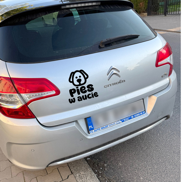 Pies w aucie Psiakrew Autoaufkleber