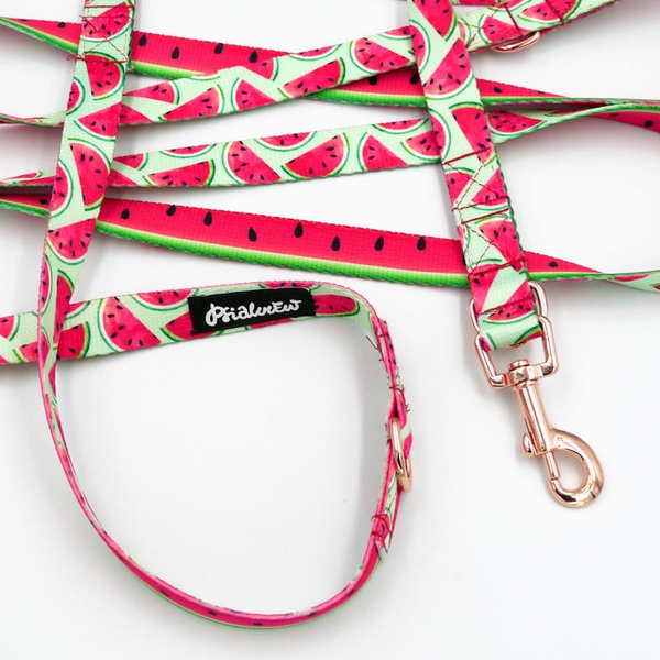 Long Dog Leash Watermelon Psiakrew width 2 cm (0.78") wide, rose gold snap hook 6 cm