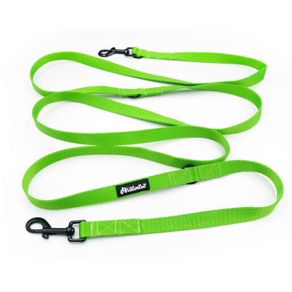Long Lime Dog Leash width 2 cm (0.78")  wide; black snap hook 7 cm