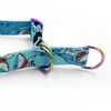 Half-choke collar Shark, 2 cm wide, for small dogs, Holo extras