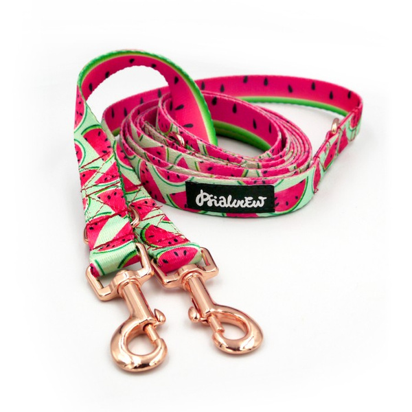 Long Dog Leash Watermelon Psiakrew width 2 cm (0.78") wide, rose gold snap hook 6 cm