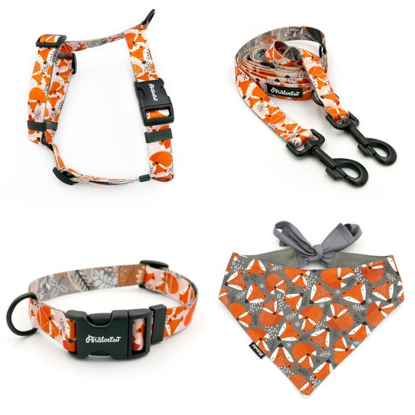 ZUBEHÖRSATZ. Großer Hund. Foxy Lady Psiakrew - Serie; Halsband, Geschirr, Leine,  Bandana