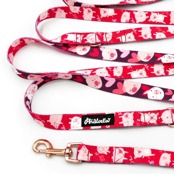 Hundeleine Piggy in Love Psiakrew Breite 2 cm, Roségold Karabinerhaken 6 cm