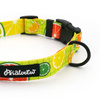 Adjustable Dog Collar with Snap Buckle Lemonade Psiakrew 2.5 cm, Black Fittings