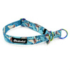 Half-choke collar Shark Psiakrew, 2.5 cm wide, medium and big dogs, holo extras