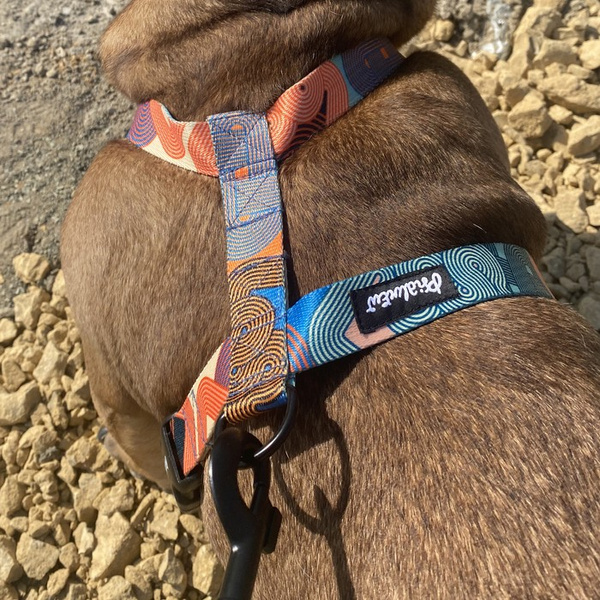 Harness for Dog, Model Geo Snake Guard Harness, black extras