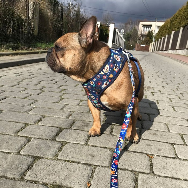 Dog Harness Día de los Muertos, Always Feeling Cool, Super Soft Psiakrew