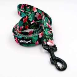 Dog Leash Tropical Monstera width 2.5 cm, 1"  wide, big black snap hook 8 cm