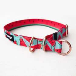 Half-choke collar Watermelon, 2.5 cm wide, medium and big dogs, rose gold