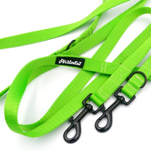 Long Lime Dog Leash width 2 cm (0.78")  wide; black snap hook 7 cm