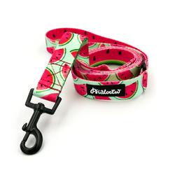 Dog Leash Watermelon Psiakrew width 2.5 cm, 1"  wide, black snap hook 6 cm