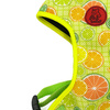 Dog Harness Lemonade Psiakrew, Always Feeling Cool, Super Soft 