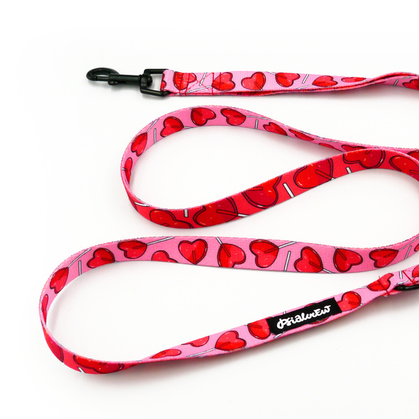 Laufleine für Hund Lollipops Psiakrew, Breite 2 cm, schwarzer Karabinerhaken 6 cm