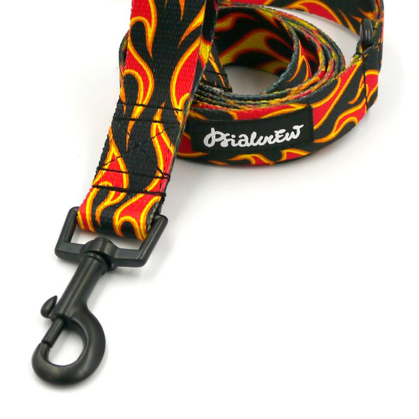 Hundeleine Dog On Fire Breite 2,5 cm, 1" breit, schwarzer Karabinerhaken 6 cm