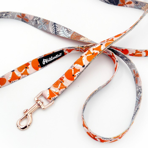 Laufleine für Hund Foxy Lady Psiakrew, Breite 2 cm, golden Karabinerhaken 6 cm