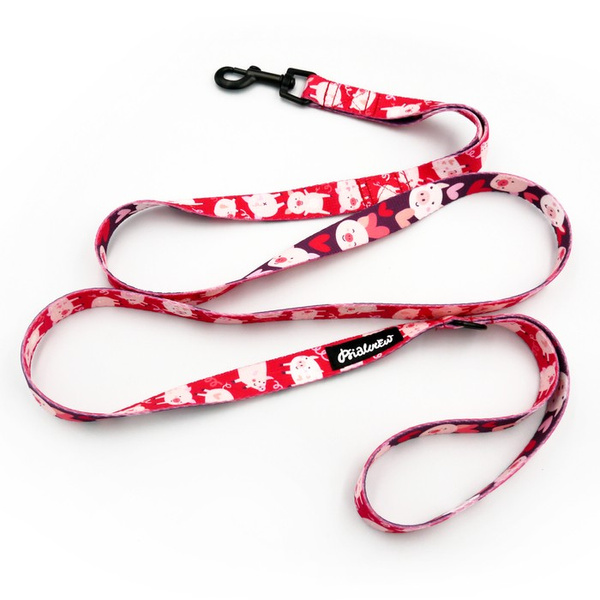 Walking leash for Dog Piggy in Love Psiakrew, width 2 cm, black snap hook 6 cm